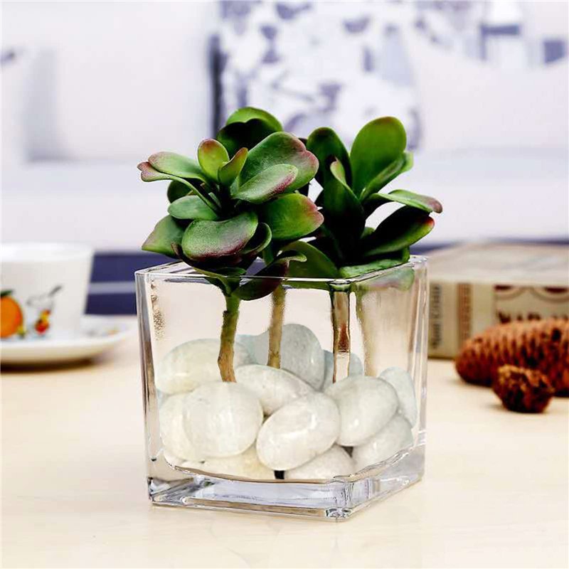 Image secondaire de Aleker Galets blancs de 1 kg pour pots de fleurs, pierres polies décoratives naturelles de 2 à 3 cm, pierres de rivière pour jar