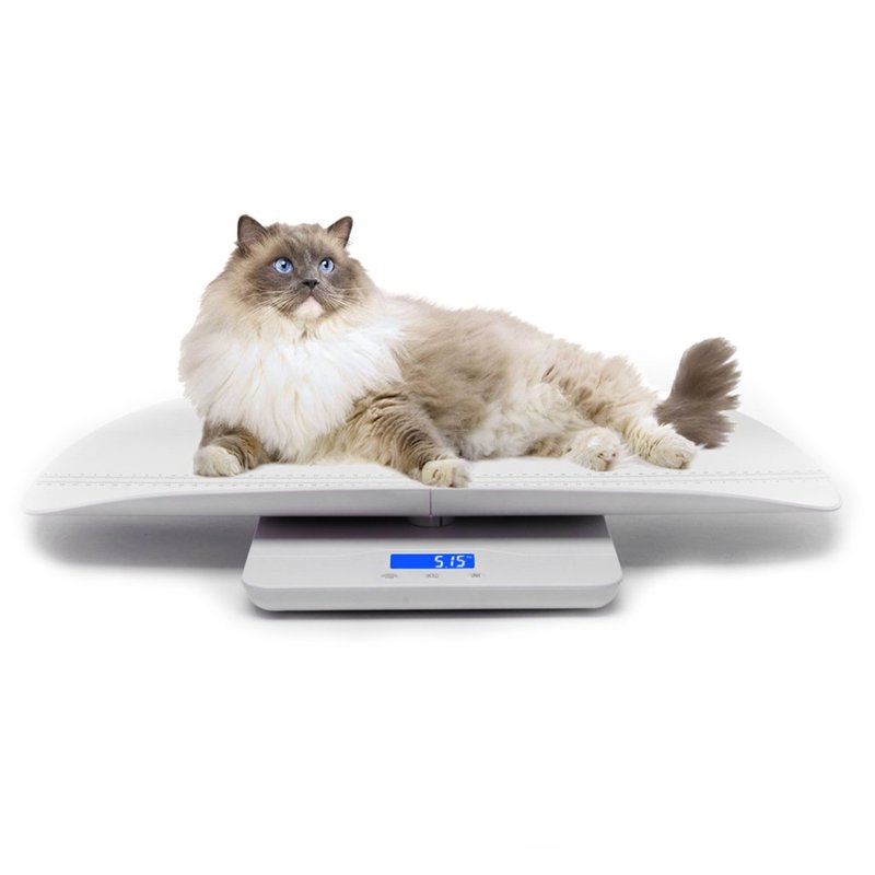 Balance numérique pour animaux de compagnie, avec 3 modes de pesée (kg/oz/lb), max 220 lb, capacité avec précision jusqu'à ± 0,0