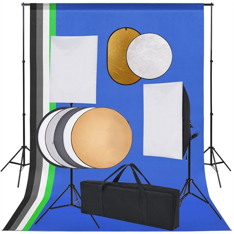 vidaXL Kit de Studio Photo Boîte à Lumière Toile de Fond et Réflecteur Kit d'Eclairage Photographie Système de Toile de Fond Lum