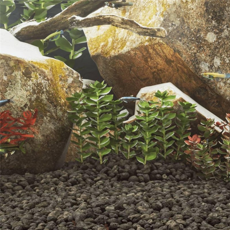 Image secondaire de vidaXL Roches Volcaniques, Pierres de Lave sous-Marine, Roches de Lave d'Aquarium, Décorations d'Aquarium Jardin Exterieur, 10 k