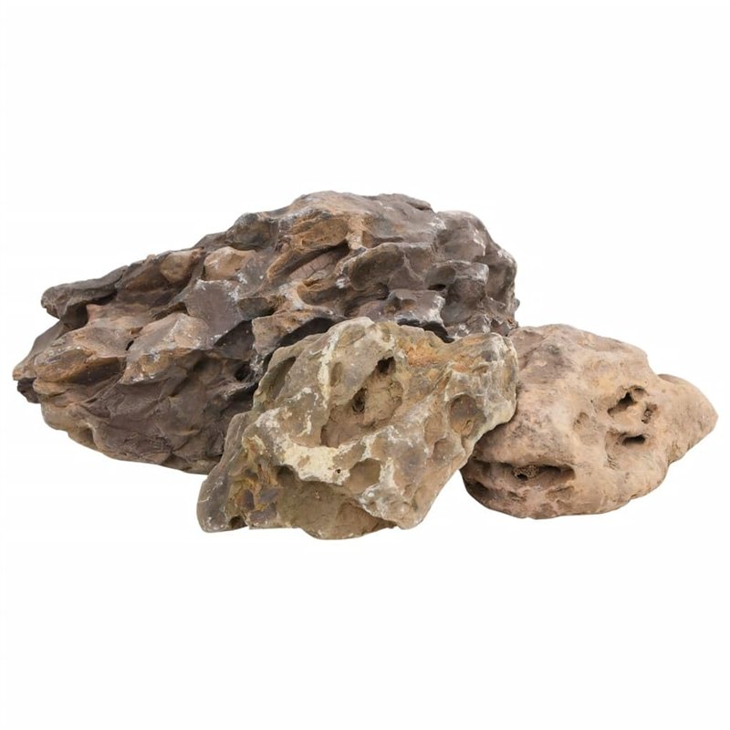 vidaXL Pierres du Dragon, Décoration pour Aquarium, Pierre Naturelle pour Micro-paysages Aménagement des Jardins, 10 kg Gris 10-