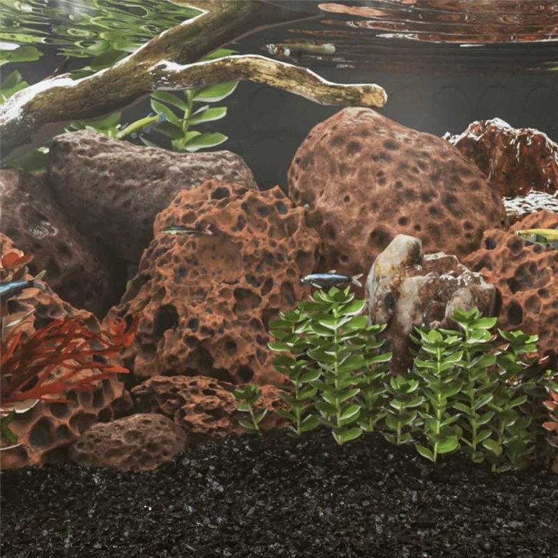 Image secondaire de vidaXL Roches Volcaniques, Décoration pour Aquarium, Pierres de Lave pour Plates-Bandes Aménagement des Jardins, 10 kg Rouge 10-