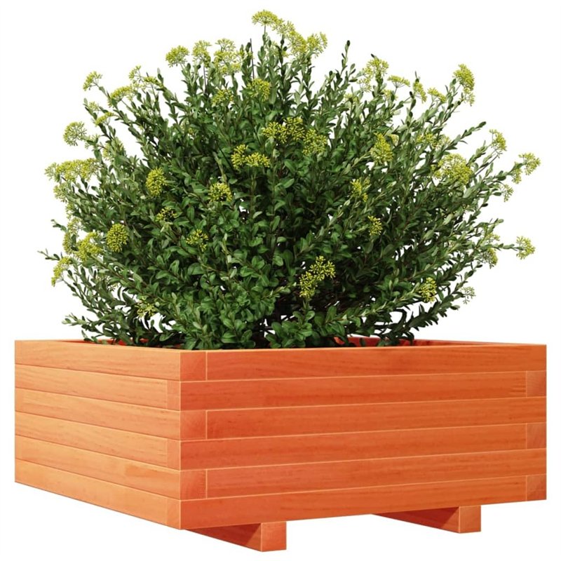 Image secondaire de vidaXL Jardinière Cire Marron 60x60x26,5 cm Bois de pin Massif, jardinière d'extérieur, bac à Fleurs, boîte à Plantes, jardinière