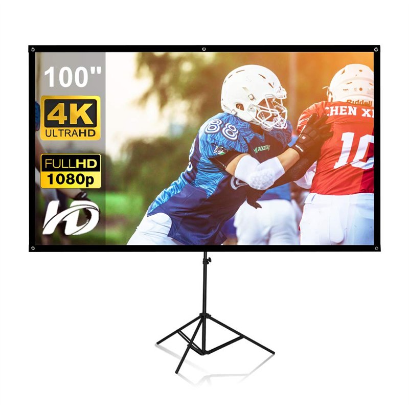 Écran de projection portable 100