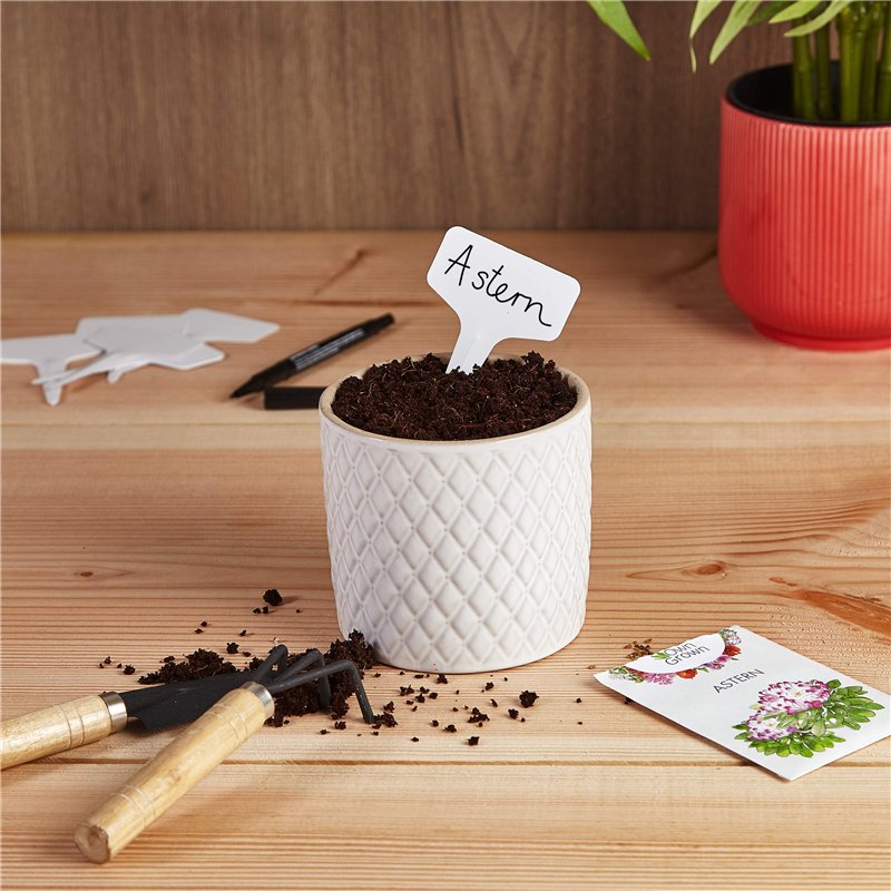 Image secondaire de Étiquettes à piquer : Premium Plant Plug en plastique avec 120x étiquettes à piquer et stylo - Jolies étiquettes à piquer résist