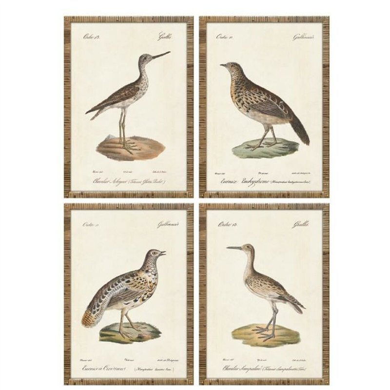 Cadre Home ESPRIT Beige Oiseaux Cottage 40 x 2,5 x 50 cm (4 Unités)
