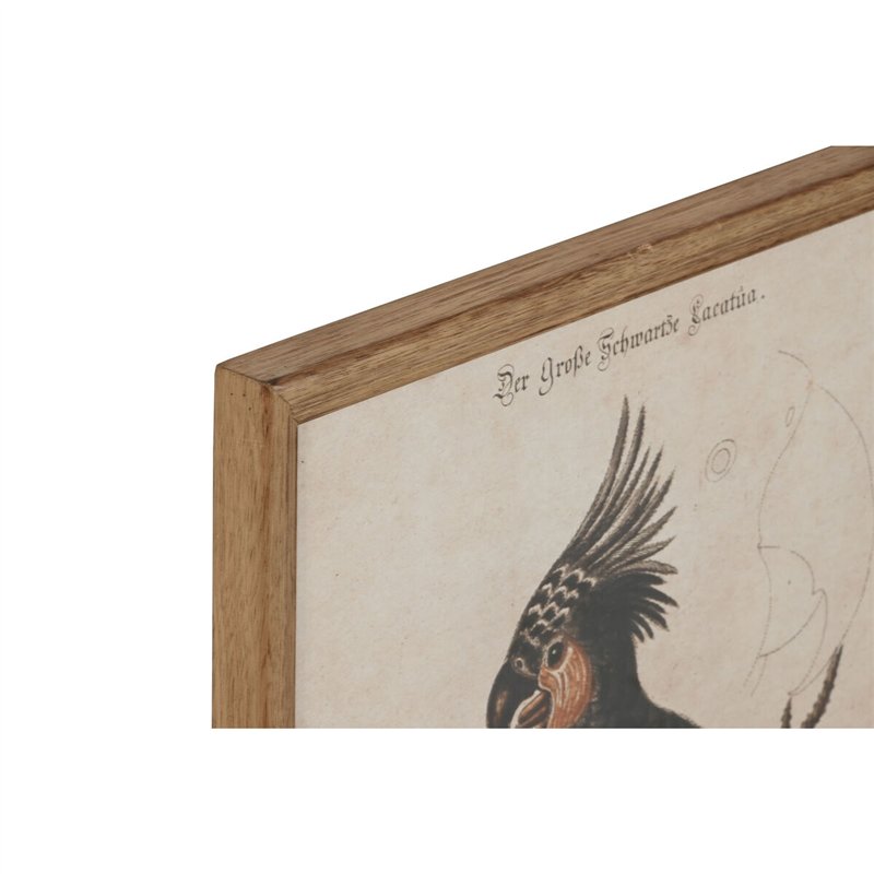 Image secondaire de Cadre Home ESPRIT Beige Tropical 40 x 2 x 50 cm (4 Unités)