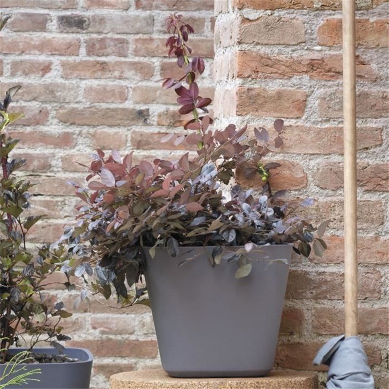 Image secondaire de Pot de fleurs carré - DEROMA - Origin - 12 L - Gris