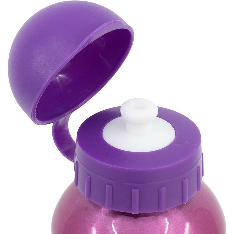 Image secondaire de Bouteille d'eau Disney Princess CZ11260 530 ml Rose Aluminium