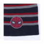 Bonnet enfant Spiderman Gris (Taille unique) 17,99 €