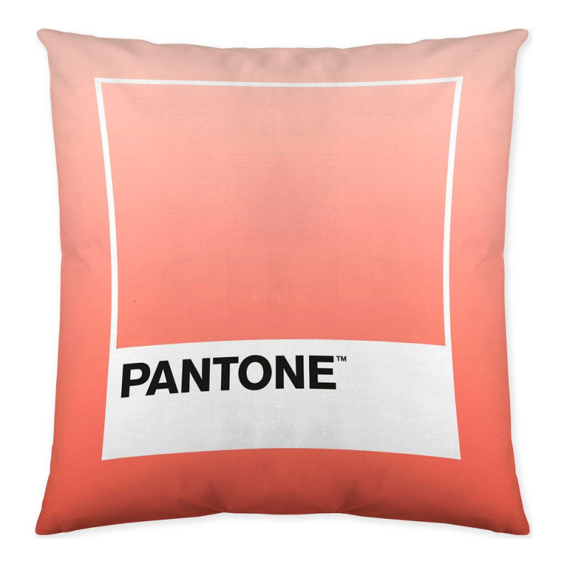 Housse de coussin Ombre B Pantone Localization-B086JQB7QD Réversible 50 x 50 cm