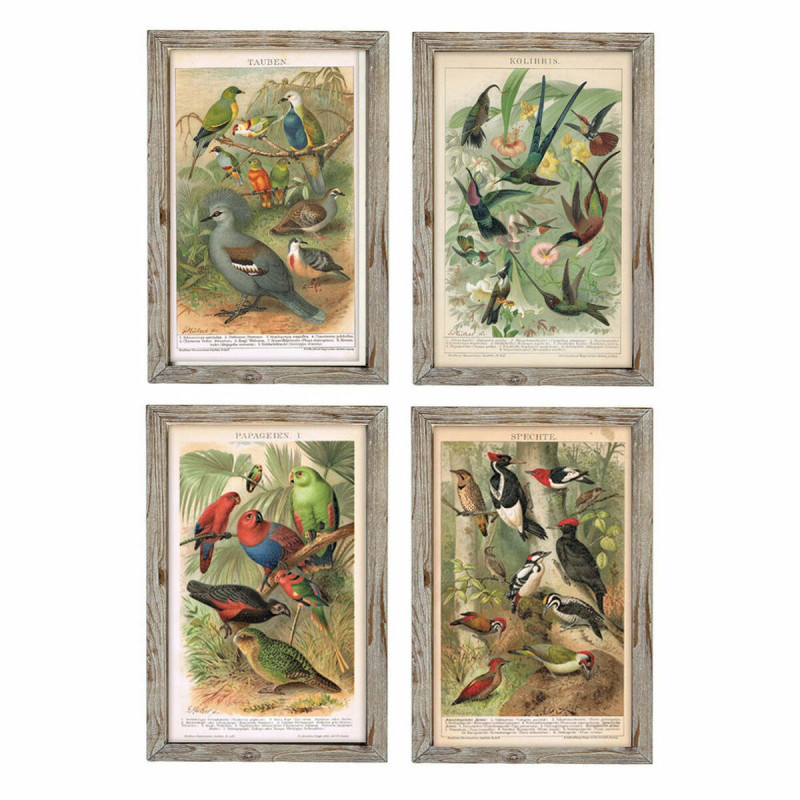 Cadre DKD Home Decor 45 x 2 x 65 cm Oiseaux Cottage (4 Pièces)