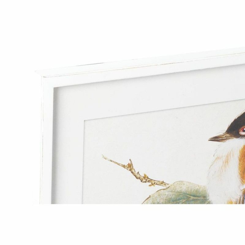 Image secondaire de Cadre DKD Home Decor 60 x 2,5 x 60 cm Oiseau Shabby Chic (4 Pièces)