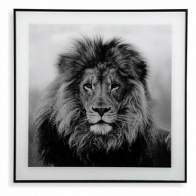 Cadre Versa Lion Verre (2 x 50 x 50 cm) 49,99 €