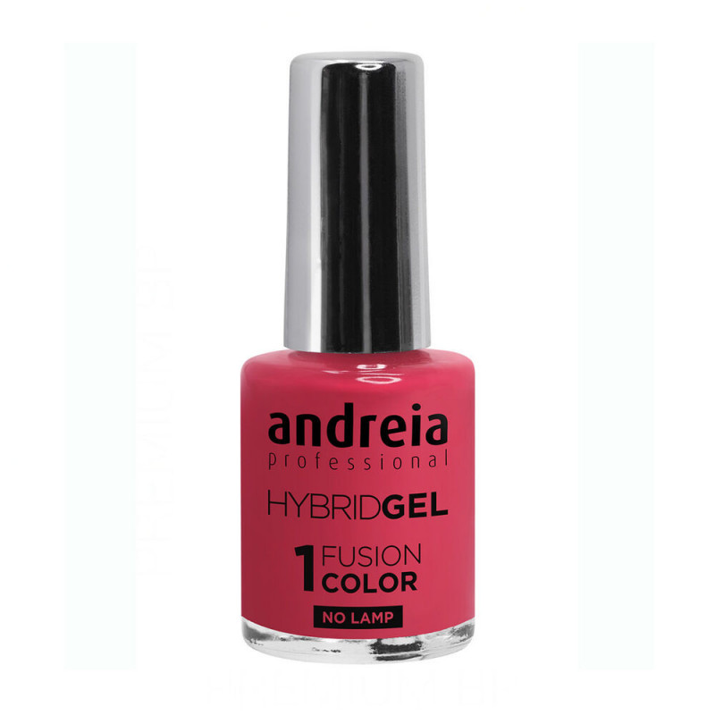 Vernis à ongles Andreia Hybrid Fusion H67 (10,5 ml)