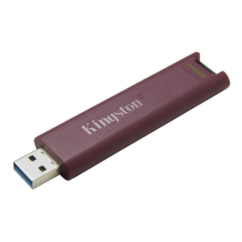 Image secondaire de Kingston Technology DataTraveler 256GB Max Type-A 1000R/900W USB 3.2 Gen 2