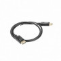 Câble DisplayPort Lanberg CA-DPDP-10CC-0010-BK 15,99 €