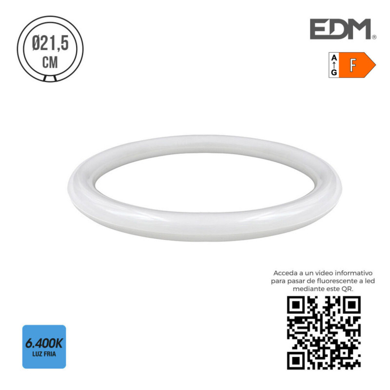 Tube LED EDM Circulaire G10Q F 15 W 1500 lm (6400 K)