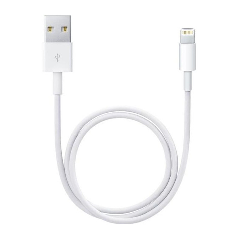 Câble Lightning Apple ME291ZM/A 50 cm Blanc