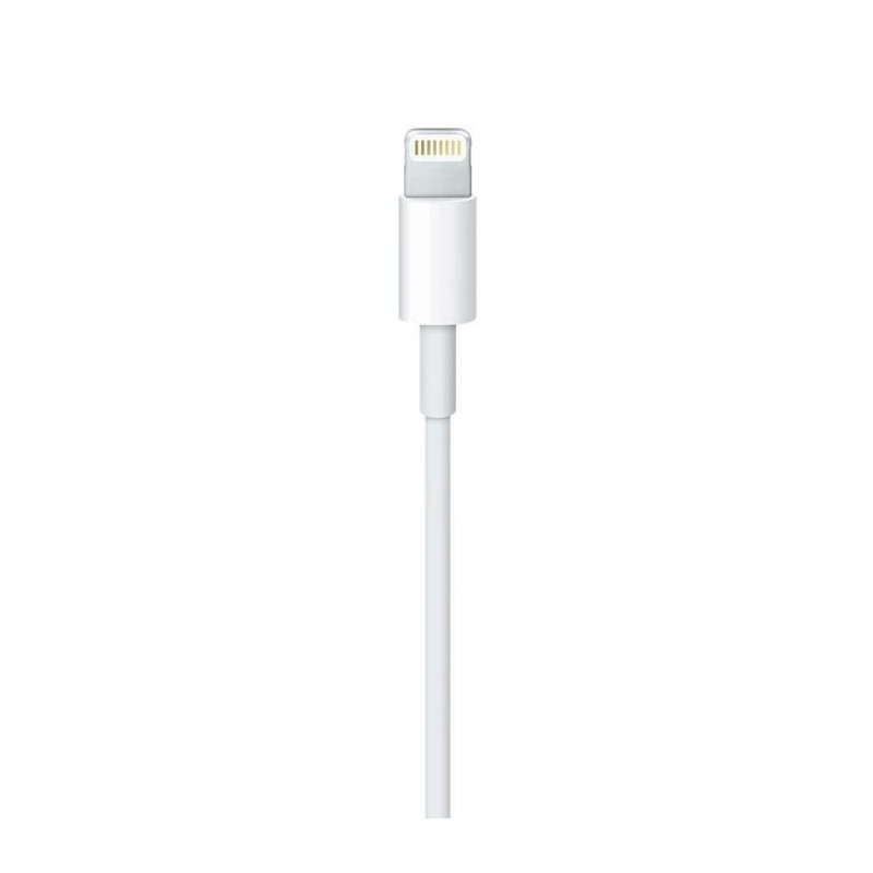 Image secondaire de Câble Lightning Apple ME291ZM/A 50 cm Blanc