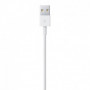 Apple Câble Lightning vers USB (0.5 m) 34,99 €