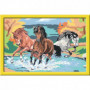 Numéro d'art - grand - Horde de chevaux 26,99 €