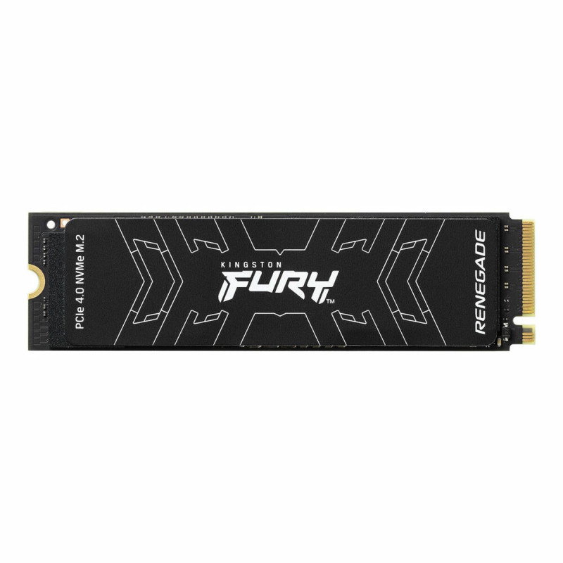 Kingston Technology 2000G FURY RENEGADE M.2 2280 NVMe SSD