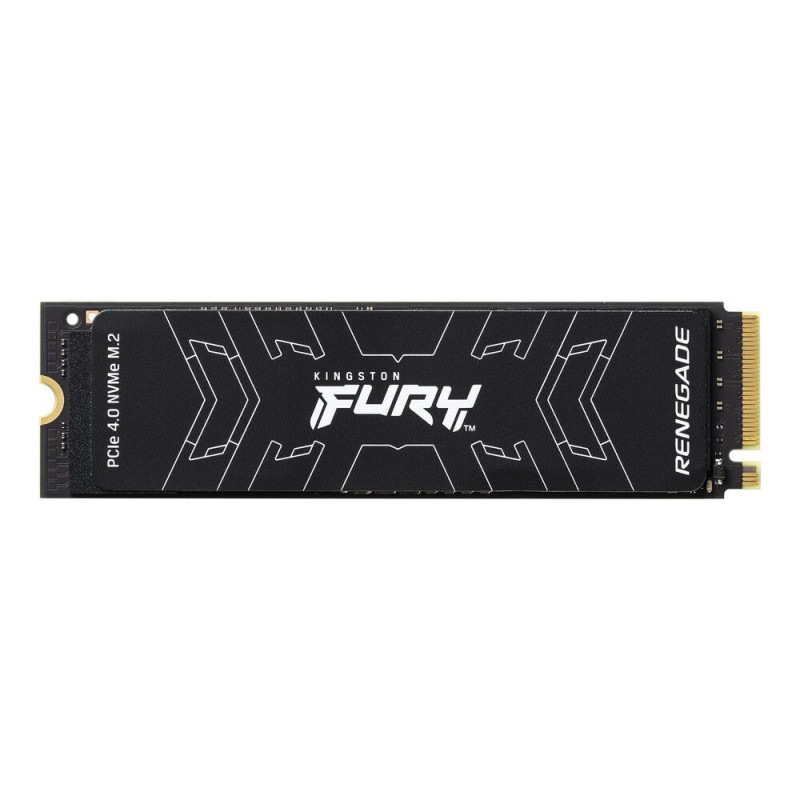 Kingston Technology 4000G FURY RENEGADE M.2 2280 NVMe SSD