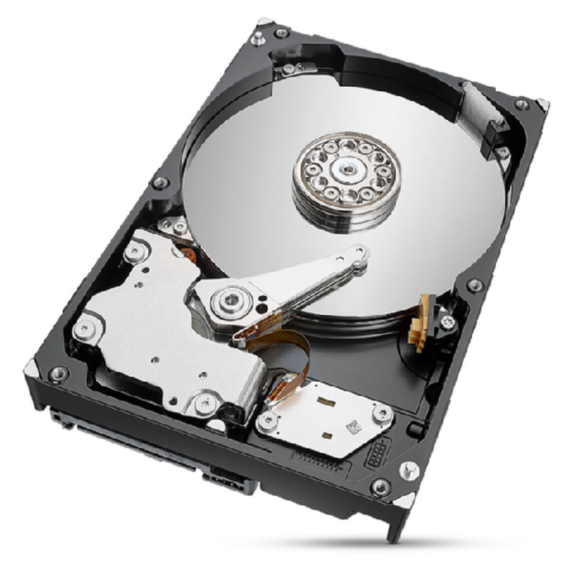 Seagate IronWolf Pro ST2000NT001 disque dur 3.5