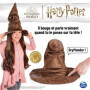 CHOIXPEAU MAGIQUE INTERACTIF Wizarding World 96,99 €